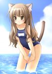  blush brown_eyes brown_hair cat_ears catgirl female hair long_brown_hair long_hair one-piece_swimsuit solo swimsuit tail unknown_artist water 