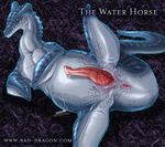  bad_dragon flippers gimpy_flippers male narse pre water_horse yellow_eyes 