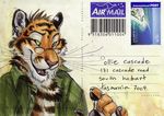  blotch claws dog&#039;s_days_of_summer fangs feline glasses male open_shirt piercing postcard raj solo tiger 