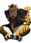 balls biceps blush claws clenched_teeth erection feline male mammal muscles penis plain_background precum raihi robe shining_(series) shining_tears shining_wind sitting solo teeth tiger toe_claws unknown_artist video_games white_background 