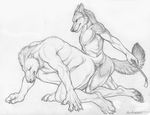  all_fours anal anal_penetration anthro black_and_white canine crop duo eyes_closed forced from_behind gay male mammal monochrome mustelid nude penetration plain_background rape riding_crop rukis sex size_difference sketch small_dom_big_sub white_background wolf wolverine 