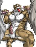  bomb_(artist) cum double_handjob feline gay handjob male masturbation muscles nude penis threesome tiger 