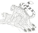  anal balls barbs big_balls cheetah doggy_position eyes_closed feline female king_cheetah linsey_huish male monochrome nude open_mouth penis raised_tail sex straight tail 