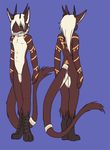  accelo bryne collar colored_background male model_sheet nude pinup standing tail tail_ring 