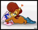  back chadthecartoonnut pillow pose sally_acorn solo sonic_(series) 