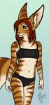  2009 body_types_meme bra breasts camera canine cat feline female green_eyes hybrid large_ears looking_at_viewer meph midriff nin orange04 portrait red_hair self_portrait solo stripes underwear 