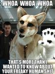  english_text fursuit humour open_mouth photo real the_truth 