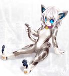  ??? animal_costume animal_ears aqua_eyes bell bell_collar blue_eyes breasts cat cat_costume cat_ears cat_tail collar costume feline female fursuit grey hair latex looking_at_viewer pawpads paws sitting solo tail tashiro_yuu tetetor-oort whiskers white_hair 