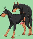  canine cum cumshot doberman dog duo feral feral_on_feral gay inserted insertion klaus_doberman knot male mammal masturbation off orgasm penetration penis sex two 