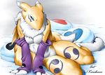  bed canine digimon female fox karabiner nude pillows renamon solo 