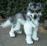  2000$ beastcub canine dog feral fursuit lilleahwest male quadsuit solo were wolf 