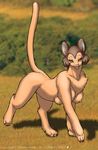  2000 all_fours breasts brown_eyes brown_hair chest_tuft claws dr_comet feline female feral grass_field hair kimba_the_white_lion lion looking_at_viewer multi_breast outside raised_tail semi-anthro short_hair solo tail tan 