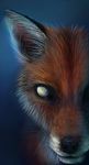 ambiguous_gender black_nose blind blue_background canine close feral fluffy fox foxbane fur looking_at_viewer mammal orange_fur plain_background pointy_ears portrait white_eyes 