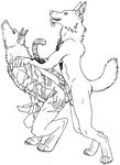  anal_penetration anthro black_and_white canine duo feline gay hi_res hybrid knot lion male mammal monochrome penetration plain_background sex superdave tiger tribal_marking tribal_markings white_background wolf 