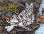  chest_tuft dark_natasha detailed feline female lynx nude photorealism pre_columbian solo 