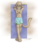  anthro beach chest_tuft keith_(twokinds) keith_keiser male seaside sleeping solo tom_fischbach tuft twokinds 