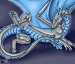  anus dragon feral herm intersex linsey_huish penis pussy scalie solo wings 