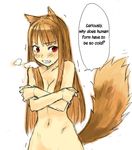  animal_ears breasts breath brown_hair canine female hair hentai horo long_brown_hair long_hair nude ookami_to_koushinryou ookamimimi red_eyes solo standing tail unknown_artist wolf wolfgirl 
