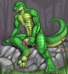  4_toes alligator arm_support balls blue_eyes claws crocodile cum digitigrade erection flaccid forest grass green green_body green_eyes green_scales hindpaw lizard looking_at_viewer male masturbation muscles nude outside paws penis precum reptile scalie sitting soles solo tail thick_tail toes tojo_the_thief tree uncut wood 