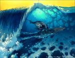  amara_telgemeier curl male ocean otter sea sea_otter shorts solo surf surfboard surfing wave 