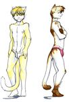  cat feline gay male meesh underwear undressing 