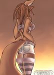  2006 anthro back belt canine female fox short_shorts solo standing stockings tailsrulz 