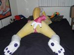  digimon fox fursuit mammal raptorsr real renamon 