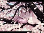  bare_legs barefoot bird black_hair cherry_blossoms dress flower hair_flower hair_ornament hair_ribbon highres in_tree japanese_clothes long_sleeves original pd-x petals pink_dress ribbon sitting sitting_in_tree smile solo tree twintails 