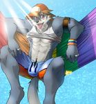  bulge canine fur gray_fur grey_fur hair hat male mammal nipples piercing pink_eyes rainbow rainbow_flag rainbow_symbol solo stated_homosexuality swimsuit thefrogprince unknown_artist water 