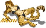  alpha_channel cheetah feline female hyhlion meow nipples solo spread_legs spreading swimsuit 