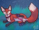  anus balls canine collar feral ferality fox jfoxx jfoxx(char...) knot licking licking_lips male mammal night non-anthro outside penis raised_leg solo tongue 