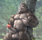  balls big big_balls big_penis braford cum gorilla invalid_tag male masturbation monkey muscles nipples nude penis pose solo uncut 