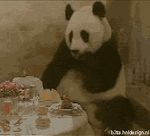  b3ta bear bill dinner eating food gif hand low_res mammal meal panda parody scanlines shock shocked sneeze surprise unknown_artist youtube 
