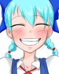  bakuya blue_hair bow braid cirno face grin hair_bow portrait smile solo touhou twin_braids 