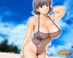  action_pizazz beach breasts casual_one-piece_swimsuit cleavage cloud day earrings grey_eyes grey_hair highleg highleg_swimsuit huge_breasts jewelry leaning_forward navel one-piece_swimsuit outdoors pixelated pose saigadou see-through short_hair sky solo standing swimsuit wallpaper 
