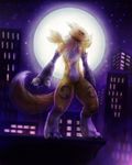  body_markings canine chest_tuft city digimon face_markings fox moon night renamon solo tail 