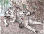  canine canine_penis cave couple dire_wolf female friends friendship knot love male sabretoothed_ermine sex straight waterfall wolf 