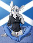  anus blue_eyes bottomless brian_mcpherson cute female lagomorph legwear looking_at_viewer mammal pussy rabbit saltire scotland sitting solo stockings 