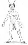  caracal feline female lynx nude pencils piercing sheryn_brown solo standing 