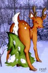  2003 anus cervine deer eyes_closed female feral hooves nude outside peter_meldgaard pine_tree pussy raised_tail snow solo tail tree winter 