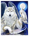  avian beautiful bird canine medieval wolf 