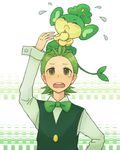  1boy dent_(pokemon) dento_(pokemon) green_hair pansage pokemon yanappu 