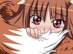  animal_ears female horo ookami_to_koushinryou ookamimimi red_eyes solo spice_and_wolf tail unknown_artist wallpaper wheat wolf_ears 