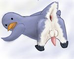  anus balls gaping male nude oekaki penguin penis solo unknown_artist 