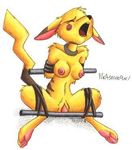  bdsm bondage breasts digitigrade eyes_closed female nipples nude open_mouth penis pikachu pok&eacute;mon pussy rope solo spread_legs spreader_bar spreading stripes tail unknown_artist yellow 