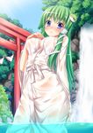  absurdres blue_eyes blush breast_suppress breasts clothesline covered_nipples frog green_hair hair_ornament highres kochiya_sanae long_hair medium_breasts panties robe see-through snake solo tomifumi torii touhou underwear wading water waterfall wet wet_clothes 