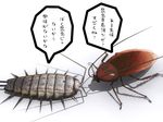  3d antenna antennae cockroach crustacean deino funamushi insect iso-kun_(deino) iso-kun_(maeda_koutarou) isopod maeda_koutarou nato-kun no_humans shadow simple_background translated wings 