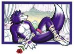  canine collar lying male nikoli nikoli_argos nude penis purple rose solo ultraviolet wolf wraps 