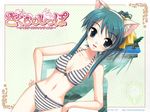  animal_ears bikini blue_eyes blue_hair cleavage sakura_tale swimsuit tagme 