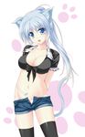 amicis animal_ears black_legwear blue_eyes blue_hair breasts cat_ears cat_tail cleavage crop_top english highres medium_breasts navel open_fly open_mouth original panties paw_print ponytail short_shorts shorts solo tail tattoo thighhighs underwear unzipped 
